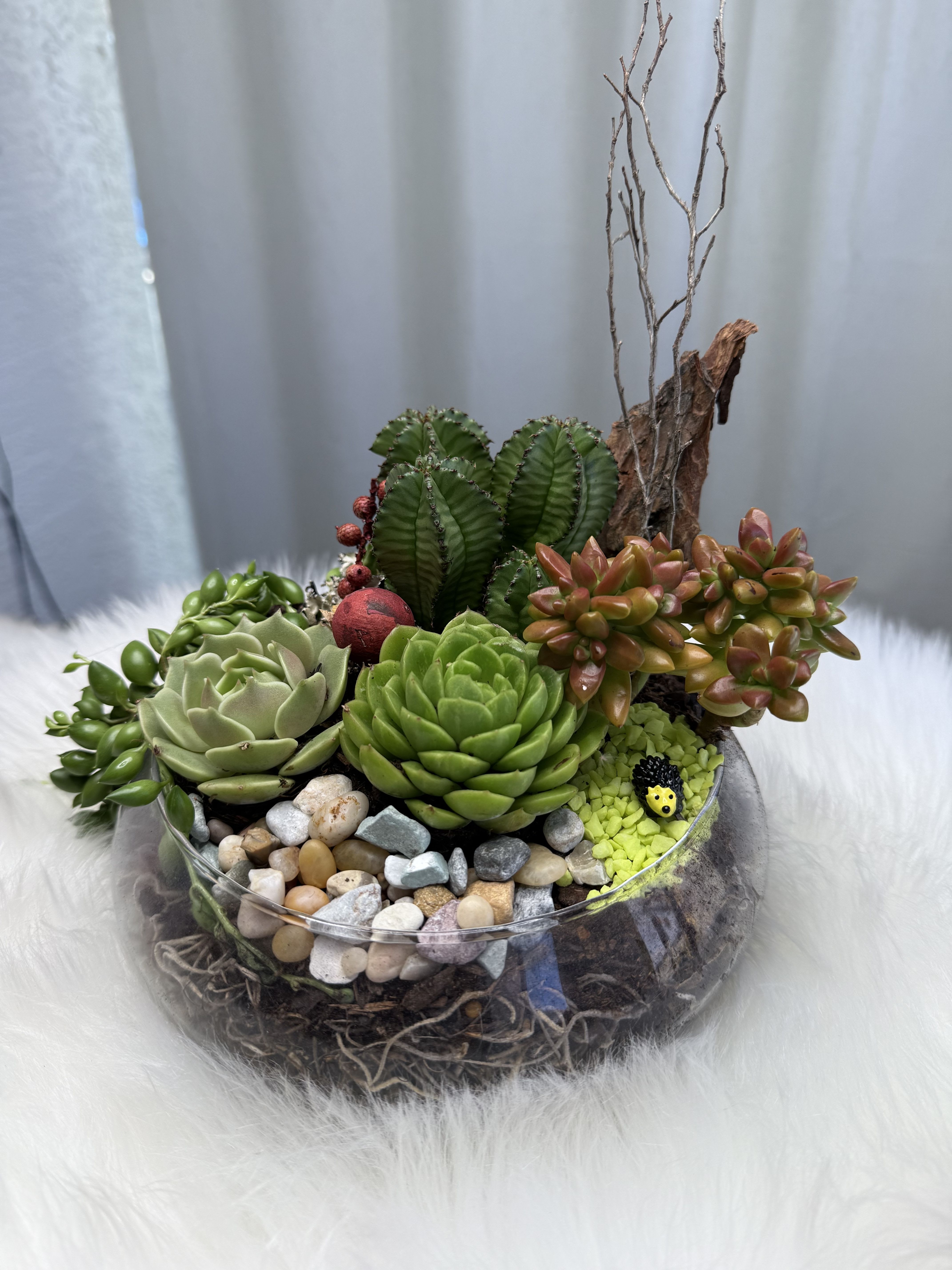 Succulent arrangement in a glass bowl with pebbles and driftwood