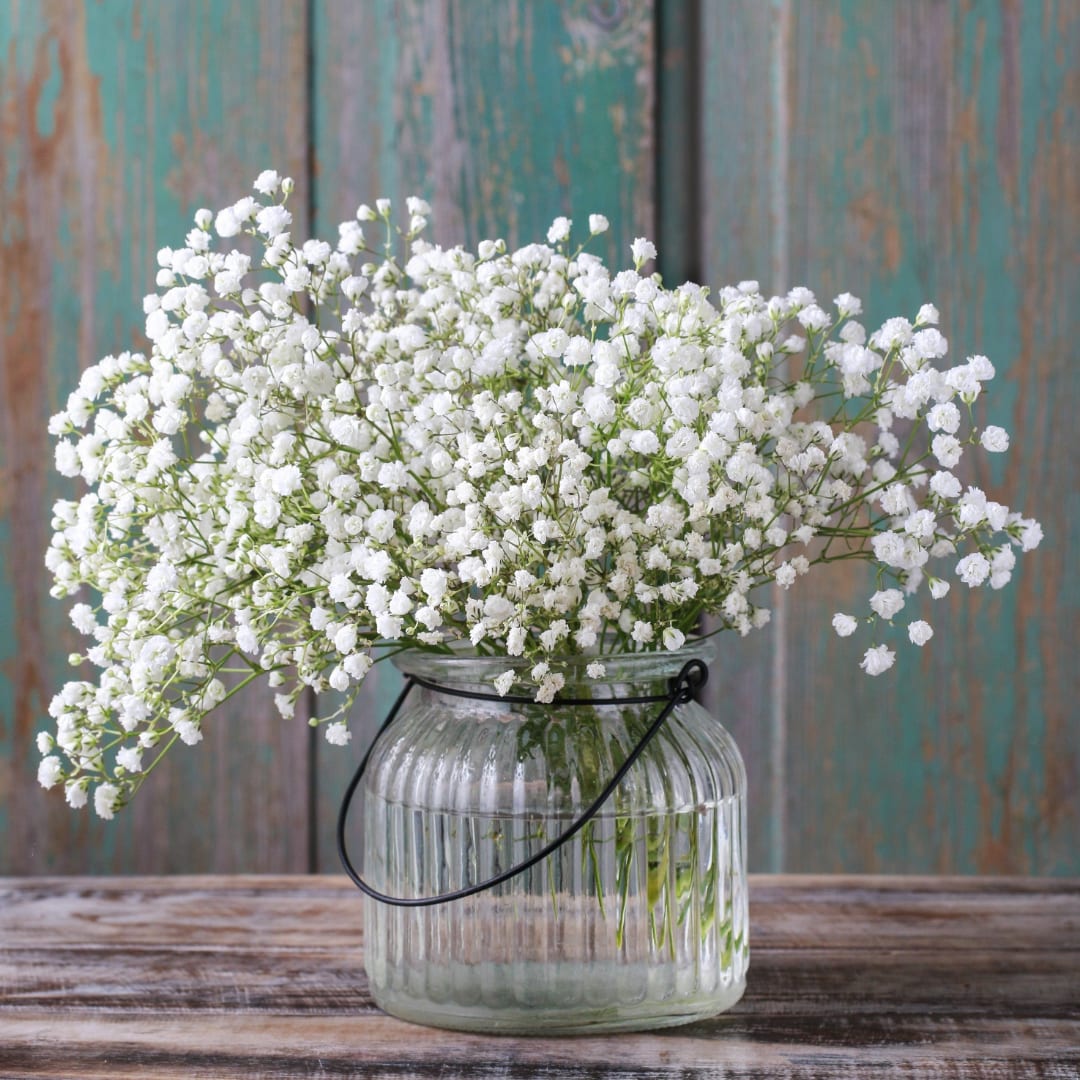 White baby's breath in a clear ribbed glass vase with a black handle