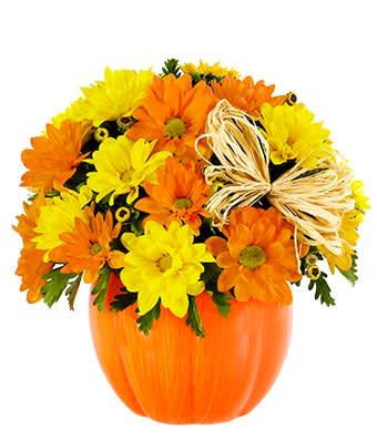 Orange and yellow daisy bouquet in a pumpkin-shaped vase