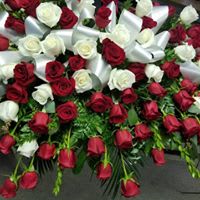 BED OF ROSES CASKET SPRAY - BED OF RED AND WHITE  ROSES THAT ENVELOPES THE CASKET WITH BEAUTIFUL BOW THREADED THROUGH ROSES ON TOP OF LUSH GREENS. THIS ONE HAS 3 DZ RED AND 1 DOZEN WHITE