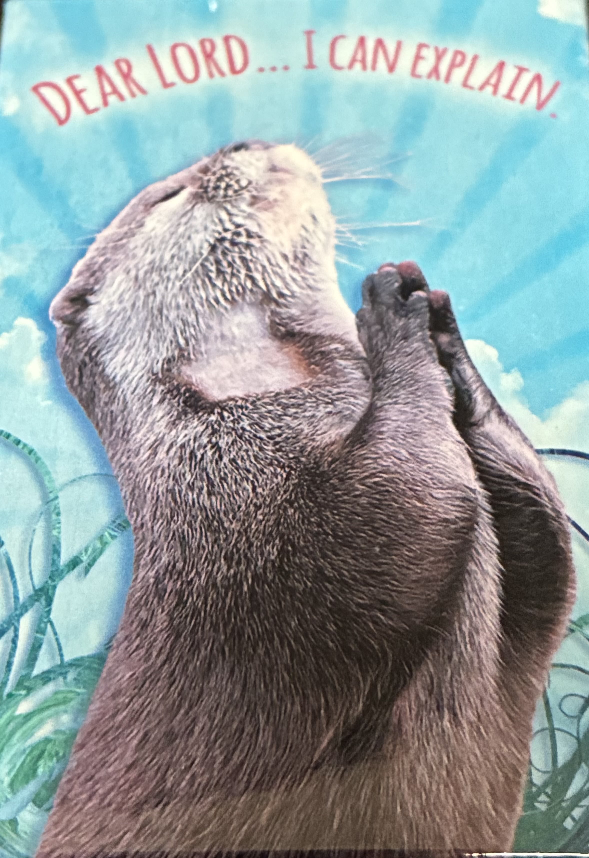 Dear Lord...I Can Explain Magnet - Dear Lord...I Can Explain Magnet. 2 inch X 3 Inch