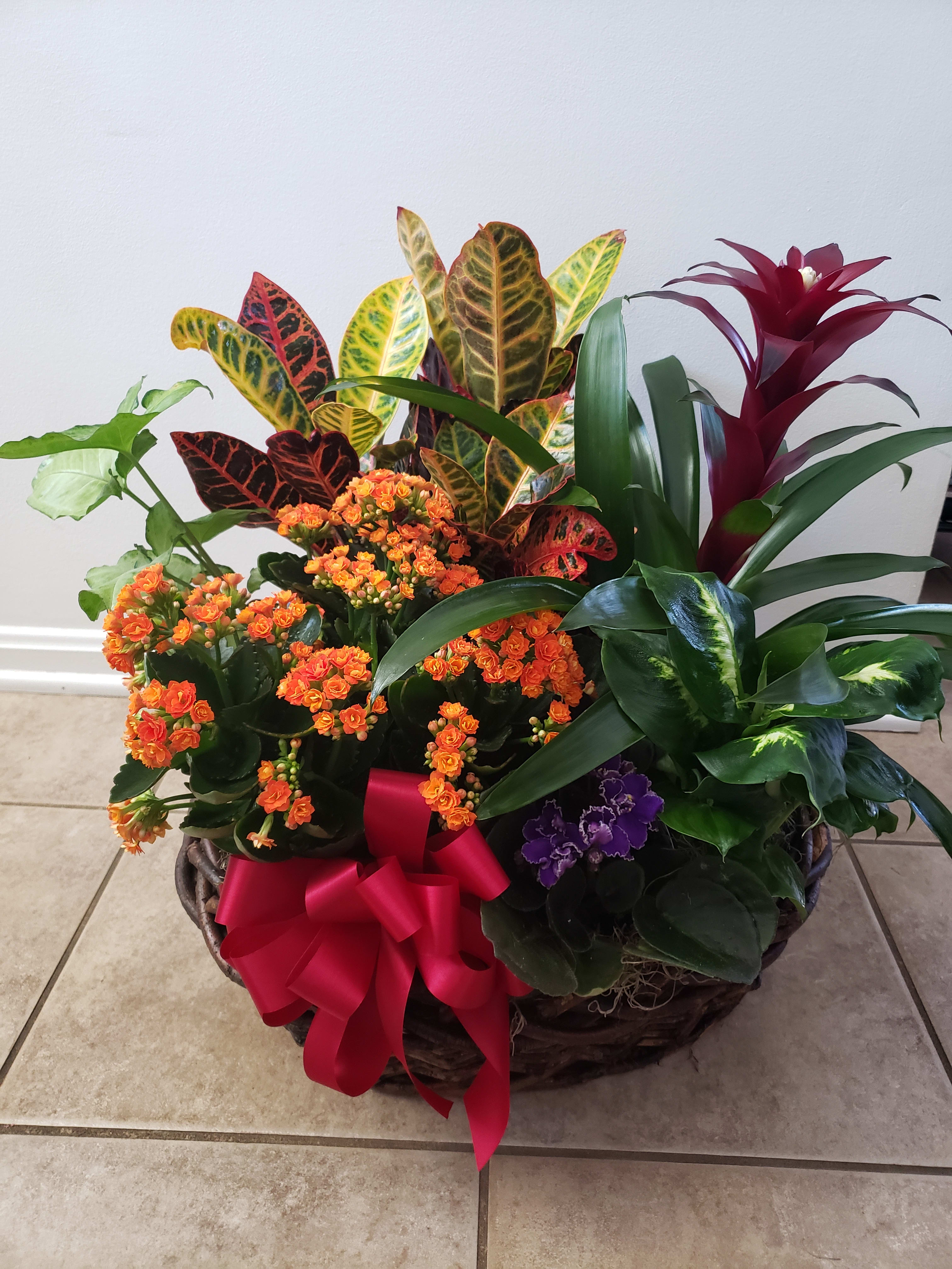 Basket of orange flowers and tropical plants with a red ribbon