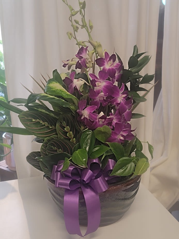 Purple orchids arranged in a dark bowl with a ribbon bow