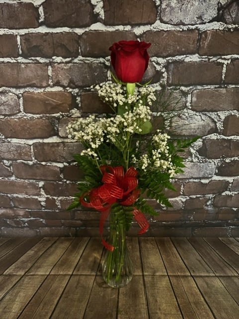 Single red rose in a glass vase with baby's breath and a red ribbon