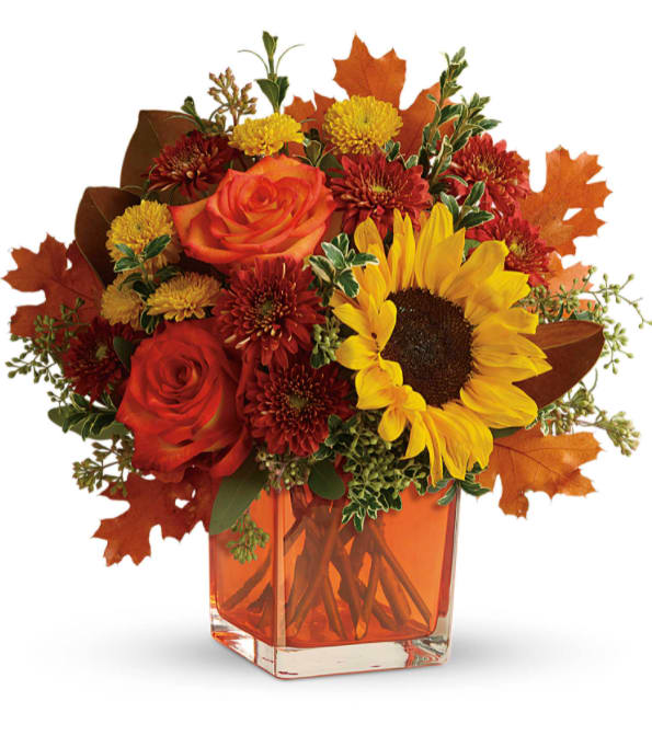 Autumn arrangement with sunflower, orange roses, and red mums in an orange glass cube vase