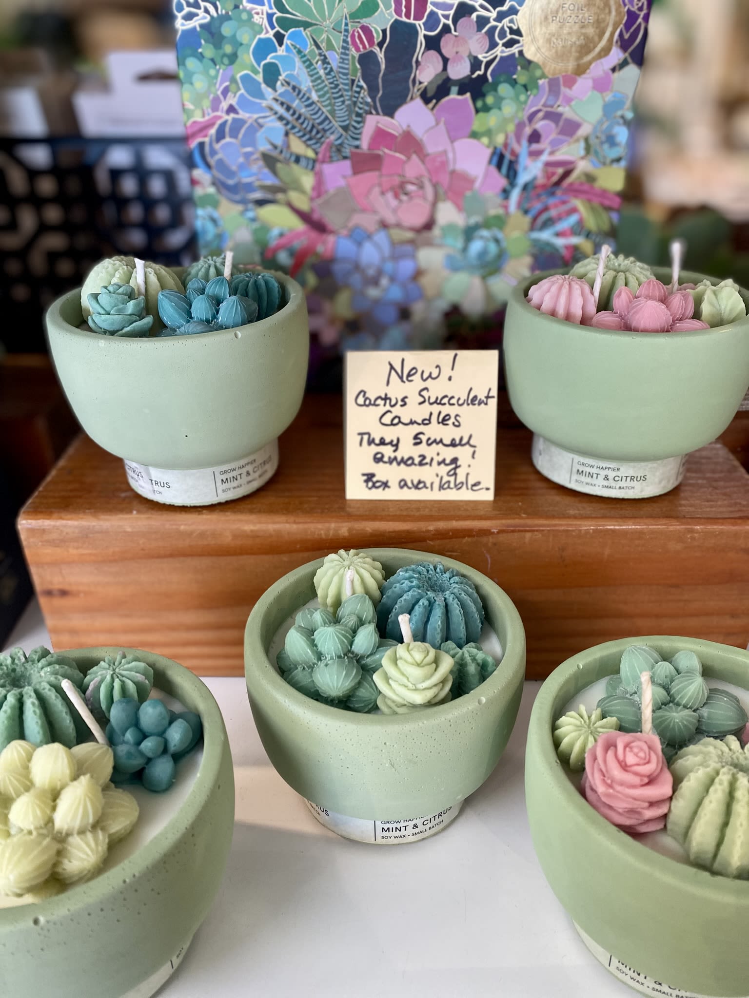 Assorted cactus-shaped candles in pastel bowls on a display table