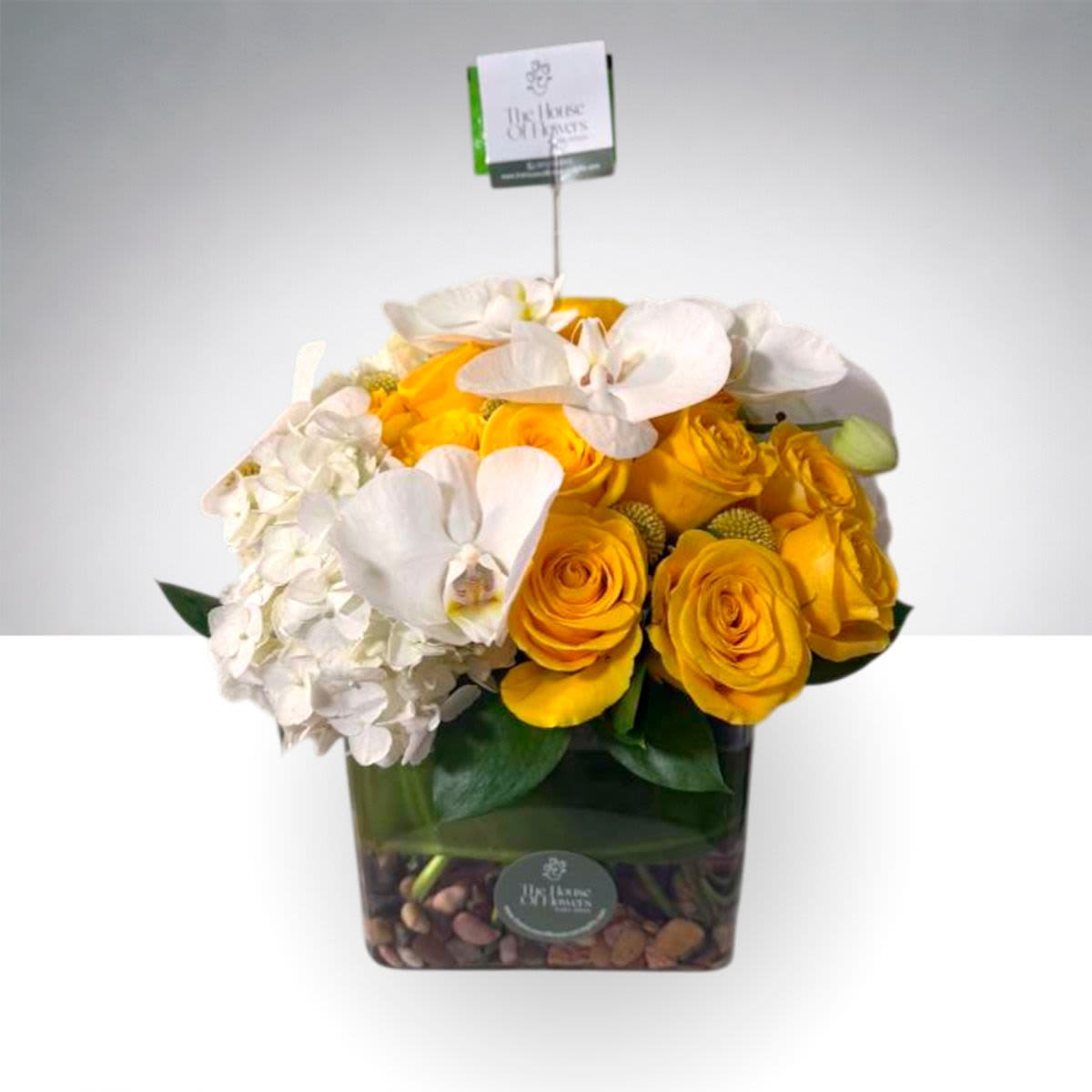 Golden Elegance by The House of Flowers - Golden Orchid Garden is a sophisticated and radiant floral arrangement designed to make a lasting impression. This elegant design features vibrant golden roses paired with delicate white phalaenopsis orchids and lush white hydrangea, beautifully arranged in a modern glass vase with decorative river stones.  Fresh greenery adds natural texture and balance, creating a luxurious garden-style arrangement that feels both refined and contemporary.  Perfect for celebrating special moments, sending warm congratulations, or adding a touch of elegance to any home or office.