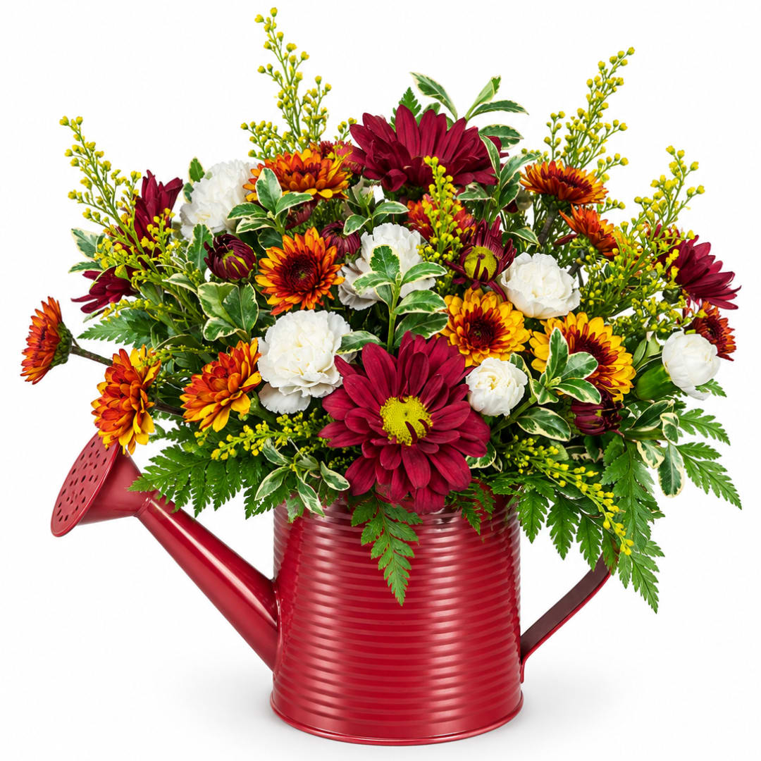 Mixed bouquet in a red watering can with burgundy, orange, and white blooms