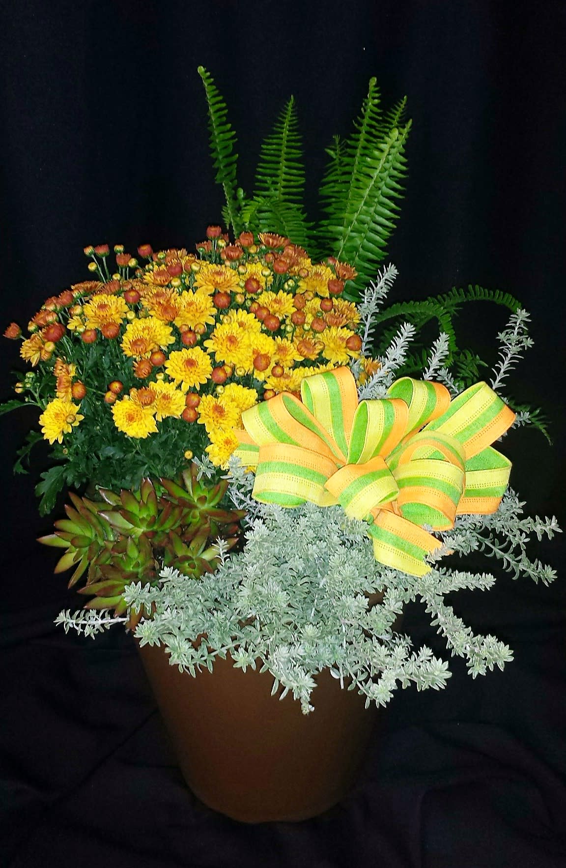 Autumn Outdoor Garden  - Let us pot and deliver the perfect fall planter to your family or friend.   We choose the healthiest biggest blooming seasonal plant, and pot it with gorgeous foliage plants and a bow. Just tell us where to send one for you today.  Plant selection and container will vary.