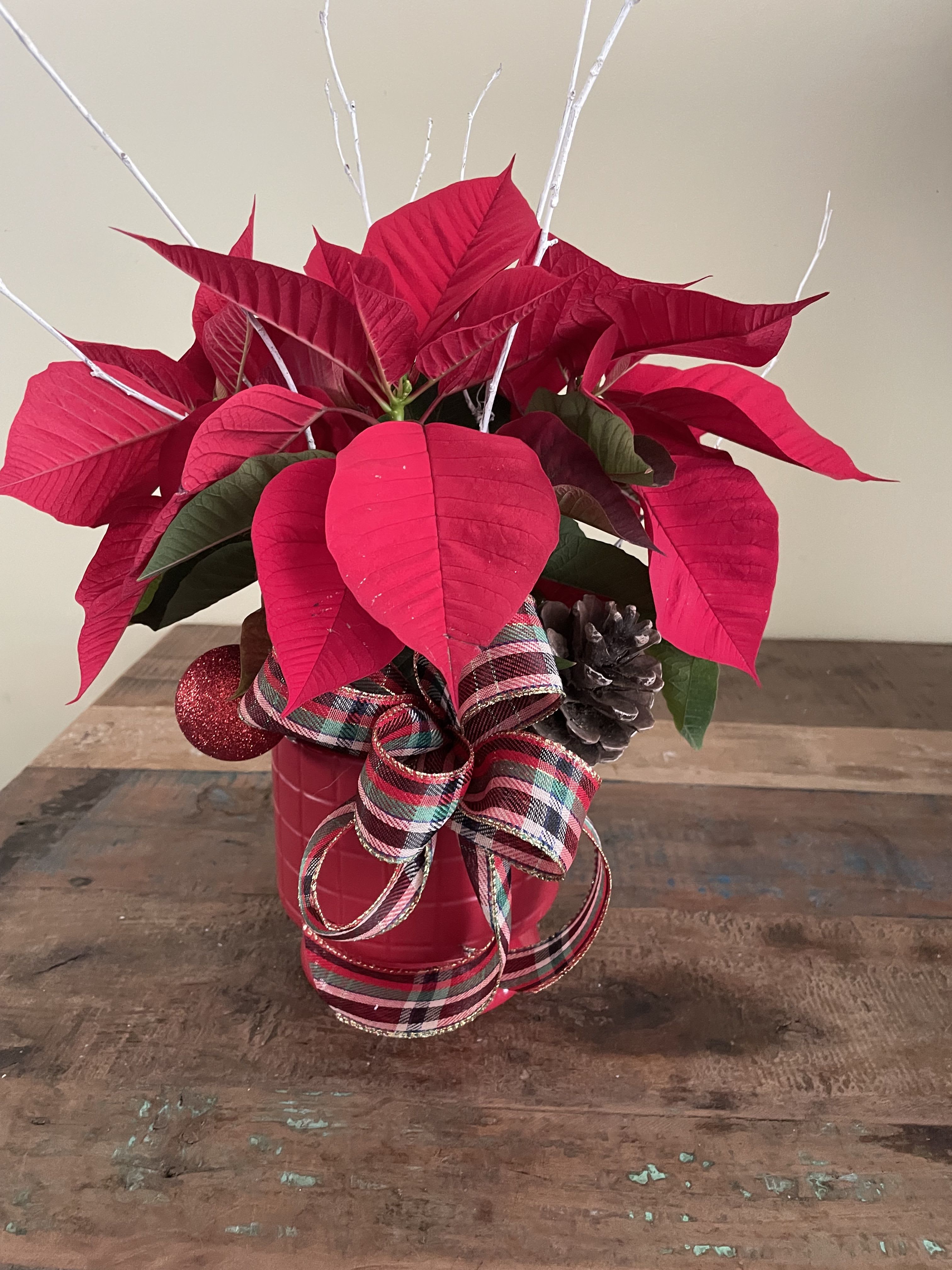 Table top poinsettia - 4” poinsettia in a decorative pot adorned wih ribbon, pinecone and ornament