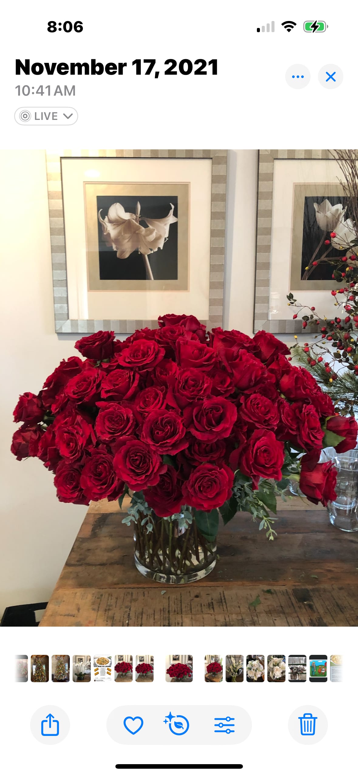 Everything’s coming up roses - 5 dozen roses arranged in a vase. 