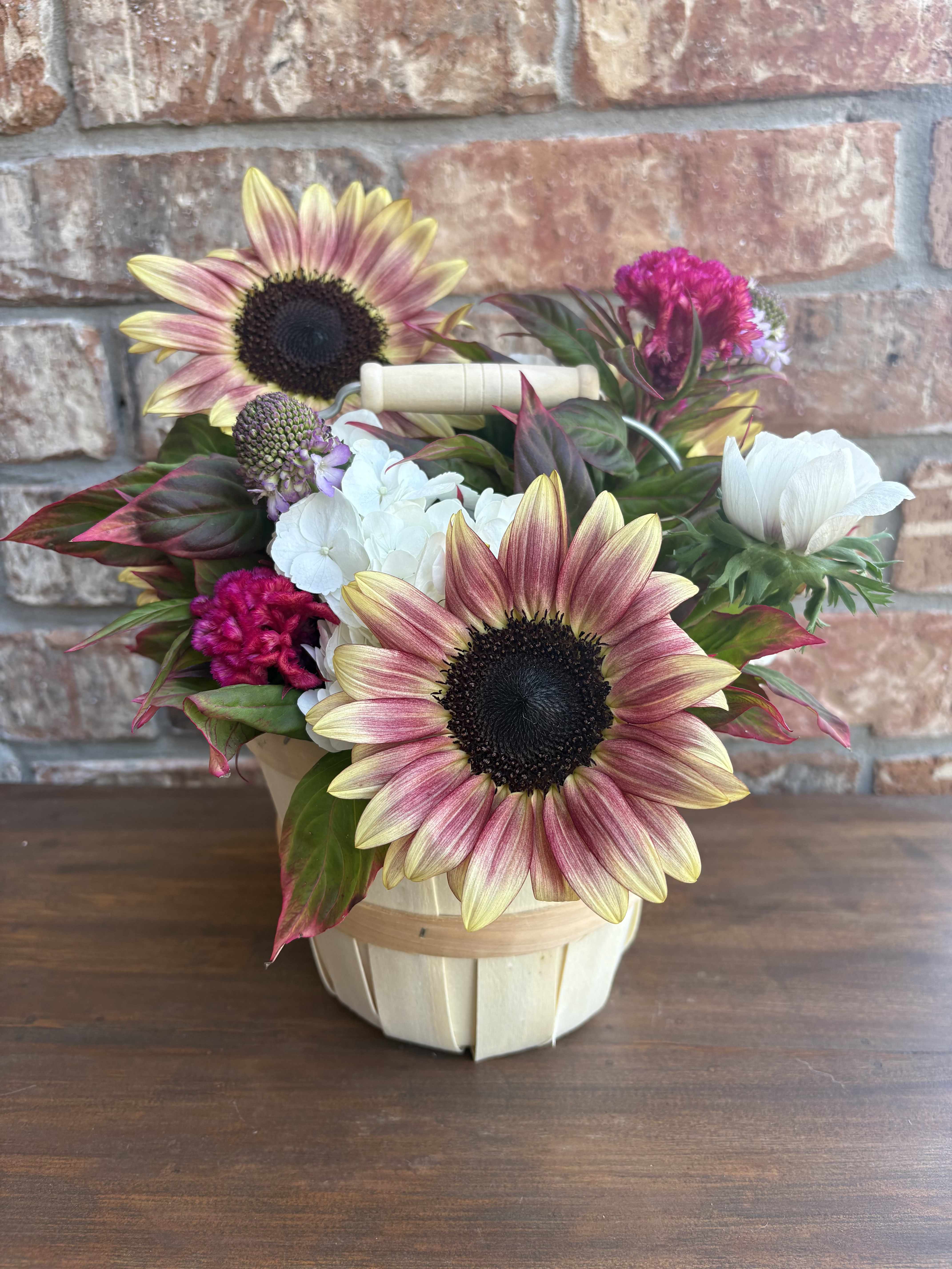 Harvest Moon Glow -  Harvest Moon Glow Golden sunflowers in shades of yellow and burgundy shine against velvety burgundy celosia and soft white hydrangea, all gathered in a rustic brown basket. This lush arrangement captures the magic of autumn evenings — warm, glowing, and groovy, just like a harvest moon rising.