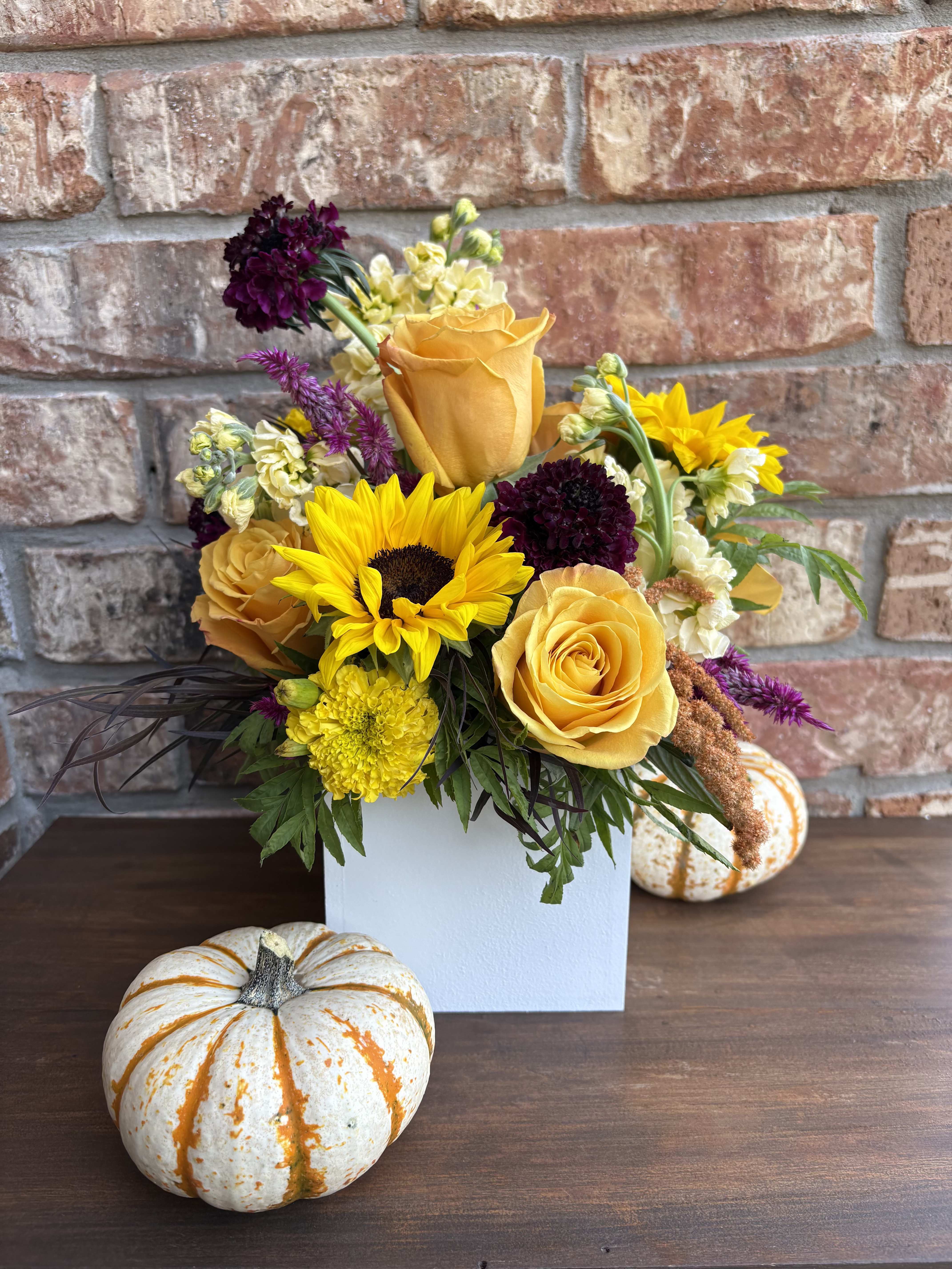 Harvest Groove Box - Bring home the golden glow of autumn with this lush wooden box filled with sun-kissed yellow sunflowers, buttery cream stock, radiant yellow roses, and deep burgundy scabiosa + celosia. A perfect harmony of sunshine and moody richness, this arrangement captures the warmth of harvest season with a retro groove. Set in a crisp white wooden box, it’s a chic keepsake that can be reused long after the blooms have faded.