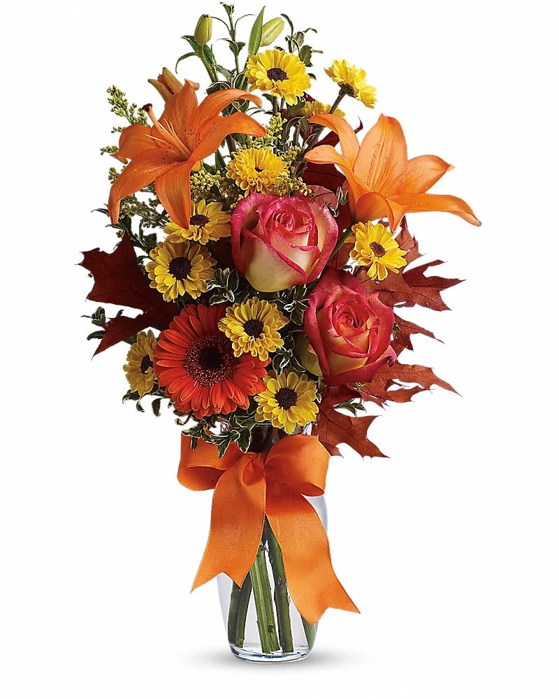 Burst of Autumn - A burst of beauteous blooms in autumn shades of orange and yellow is mixed with a handful of oak leaves then delivered in a clear glass vase adorned with a bright satin ribbon. A splendid gift for birthdays or any fall occasion. A mix of fresh flowers such as Asiatic lilies Viking spray chrysanthemums roses and a miniature gerbera - in shades of orange and yellow - is arranged with preserved oak leaves in a clear glass vase adorned with an orange satin ribbon.