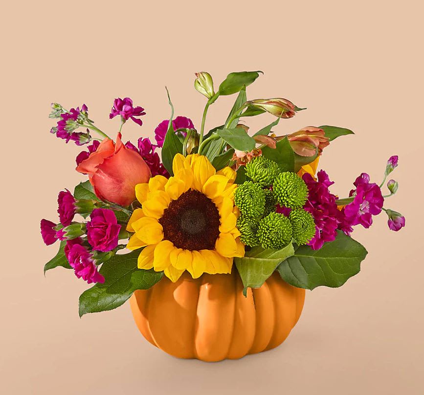 Bippity Boppity Pumpkin - Harvest the bell of the ball with our Bippity Boppity Bouquet designed with cheery sunflowers contrasting with purple carnations arranged in a novelty ceramic pumpkin. Approximately 13"H x 14"W. 