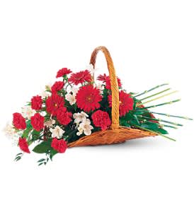 Low wicker basket of red gerbera daisies, red carnations, and white flowers with long grass accents