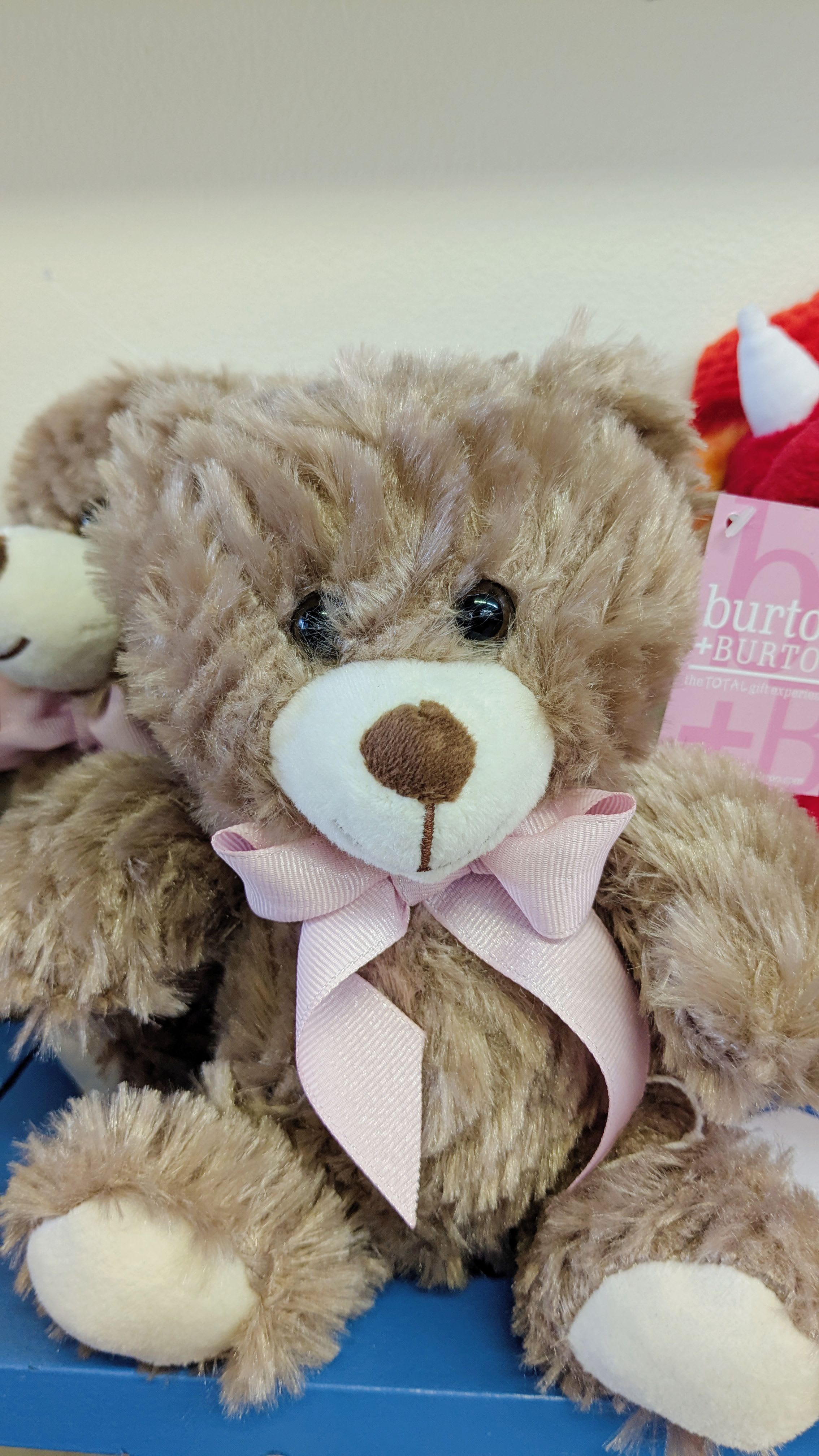 Brown teddy bear with a pink ribbon bow