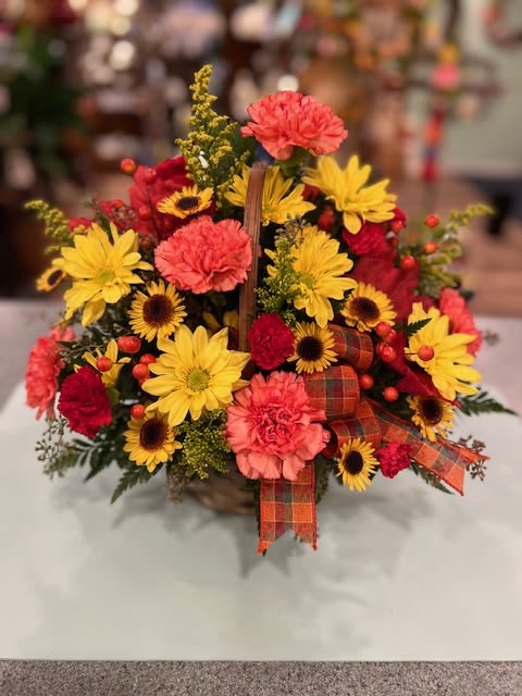 Basket arrangement of yellow daisies, red blooms, and pink carnations with plaid ribbon