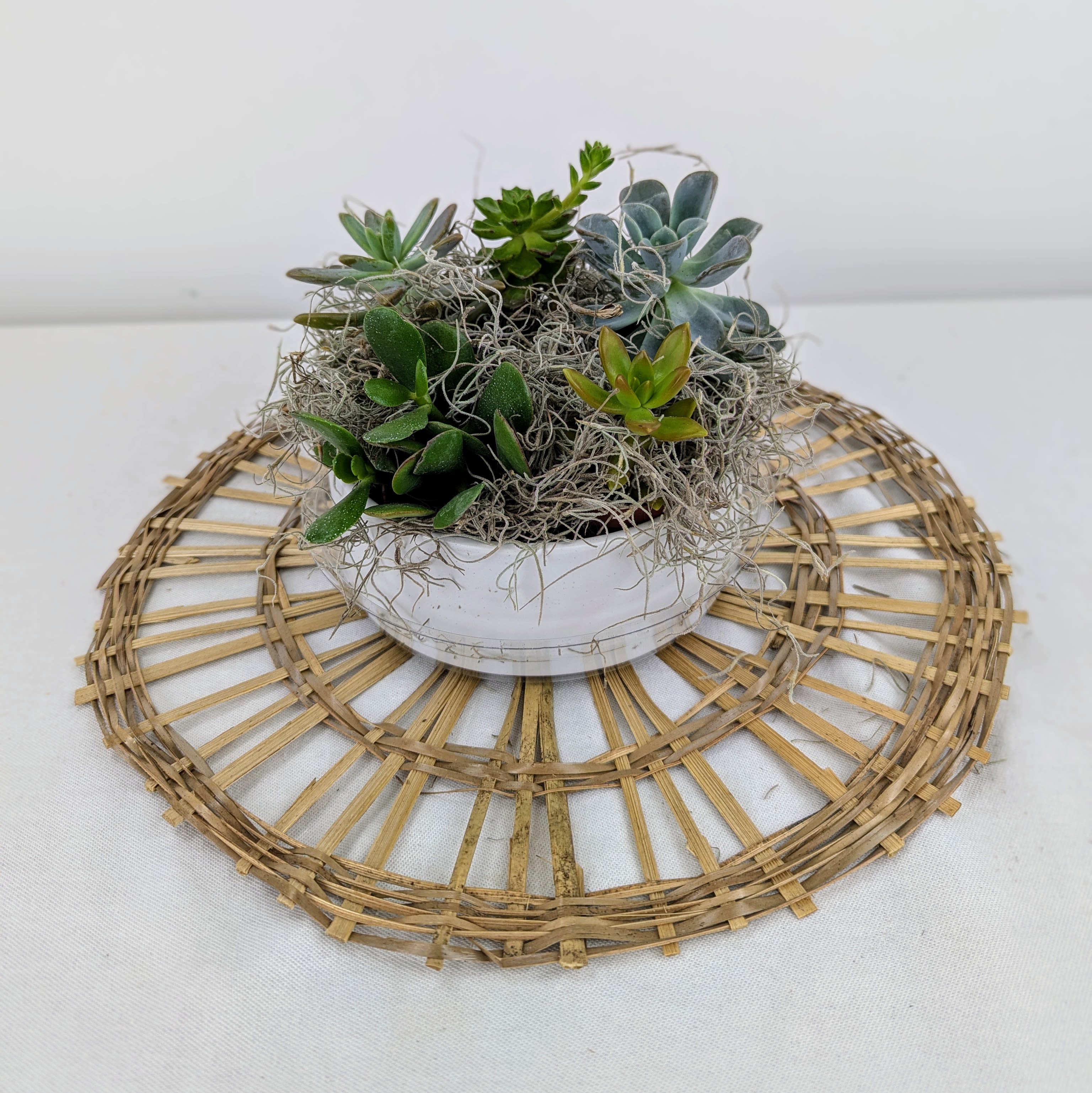Succulent arrangement in a white bowl on a woven placemat