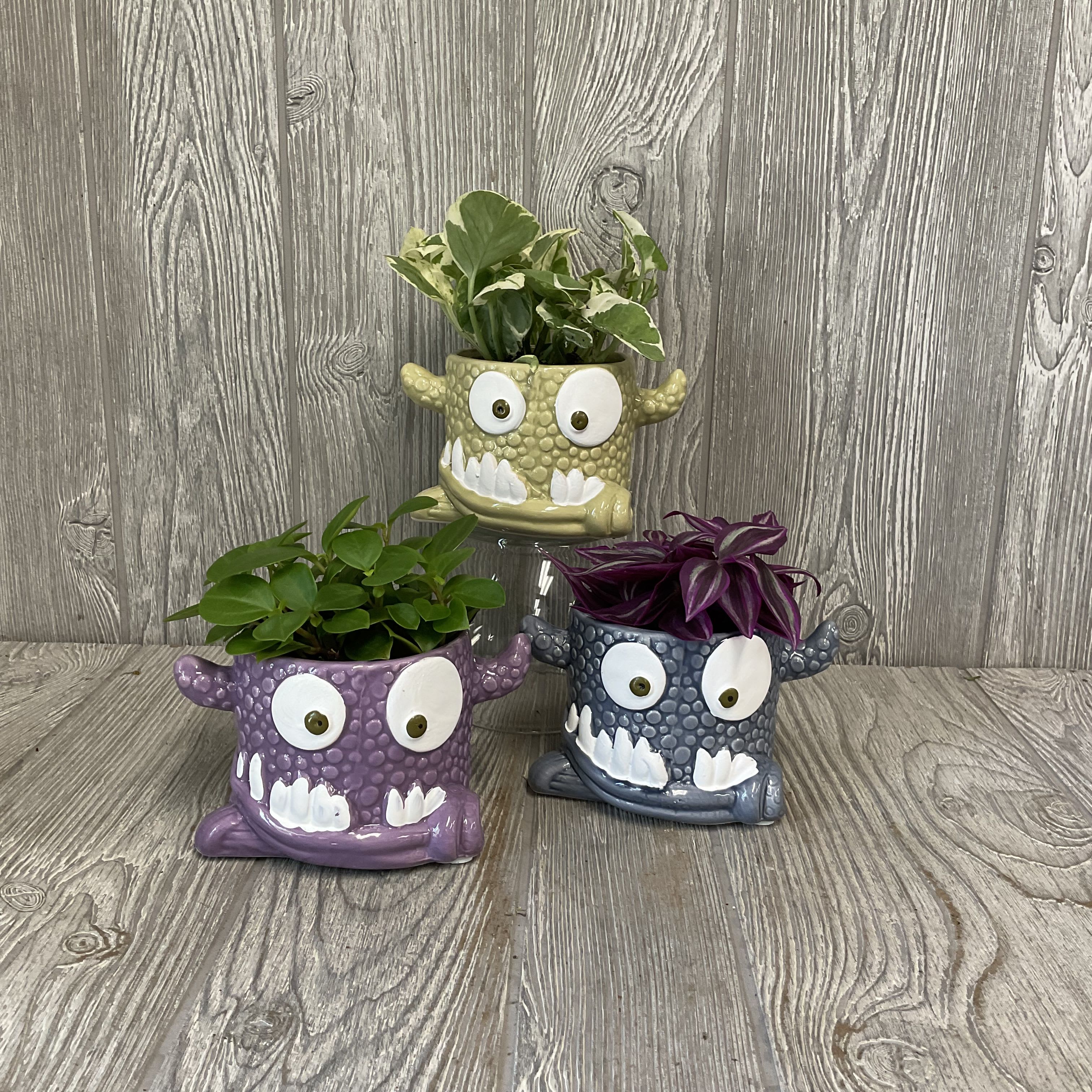 Three small potted plants in colorful monster-face planters
