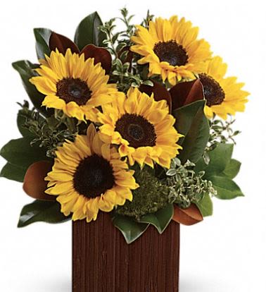 You're Golden Bouquet - Rise and shine! Send her a sunrise with this golden bouquet of bright-as-day sunflowers. It's the perfect gift for the light of your life.  Bold, bright sunflowers are arranged with delicate oregonia, magnolia leaves, lemon leaf and moss. Delivered in a Bamboo Cube (while supplies last).  24 hour advance notice may be required.