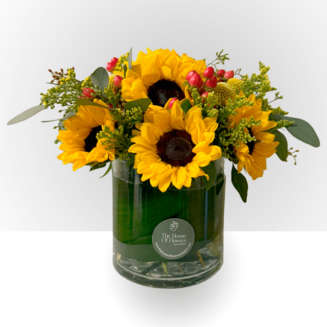 Sunflower arrangement in a clear glass vase with red berry accents
