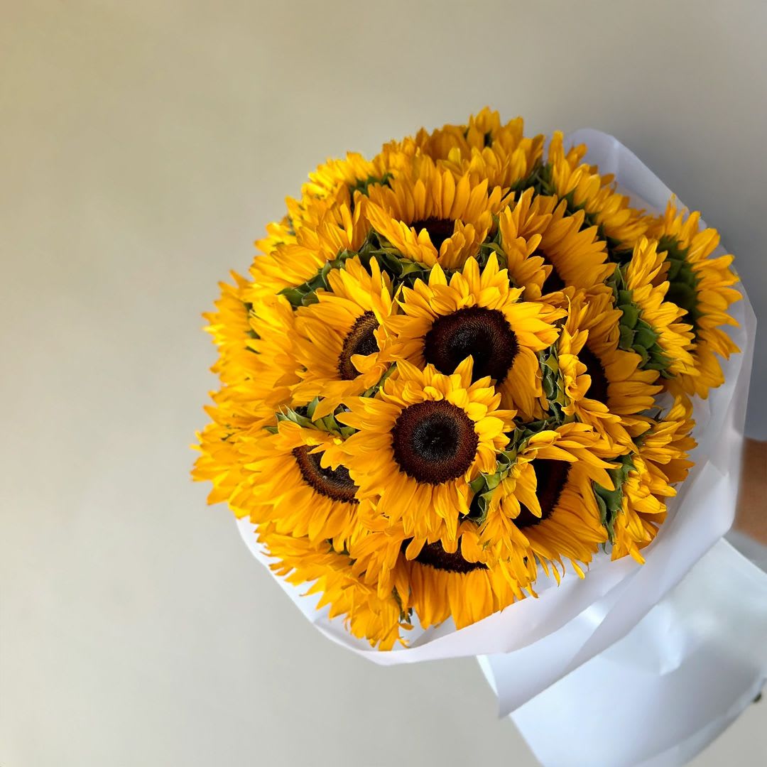 Bouquet of bright yellow sunflowers wrapped in white paper