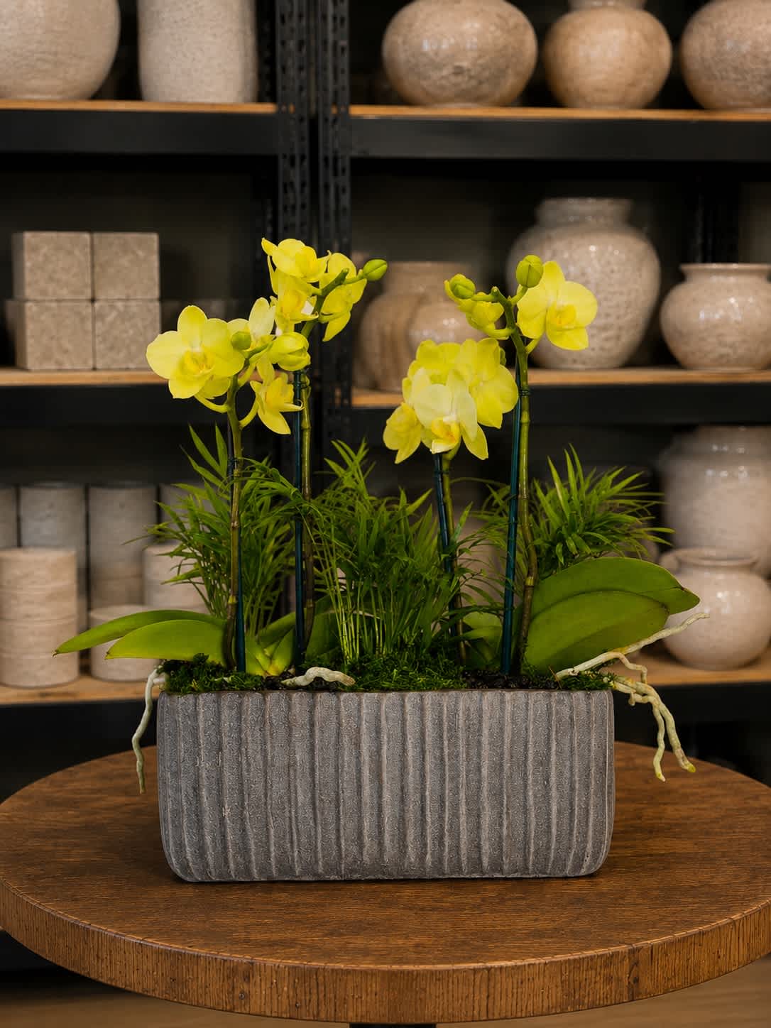 Yellow orchids arranged in a gray rectangular planter