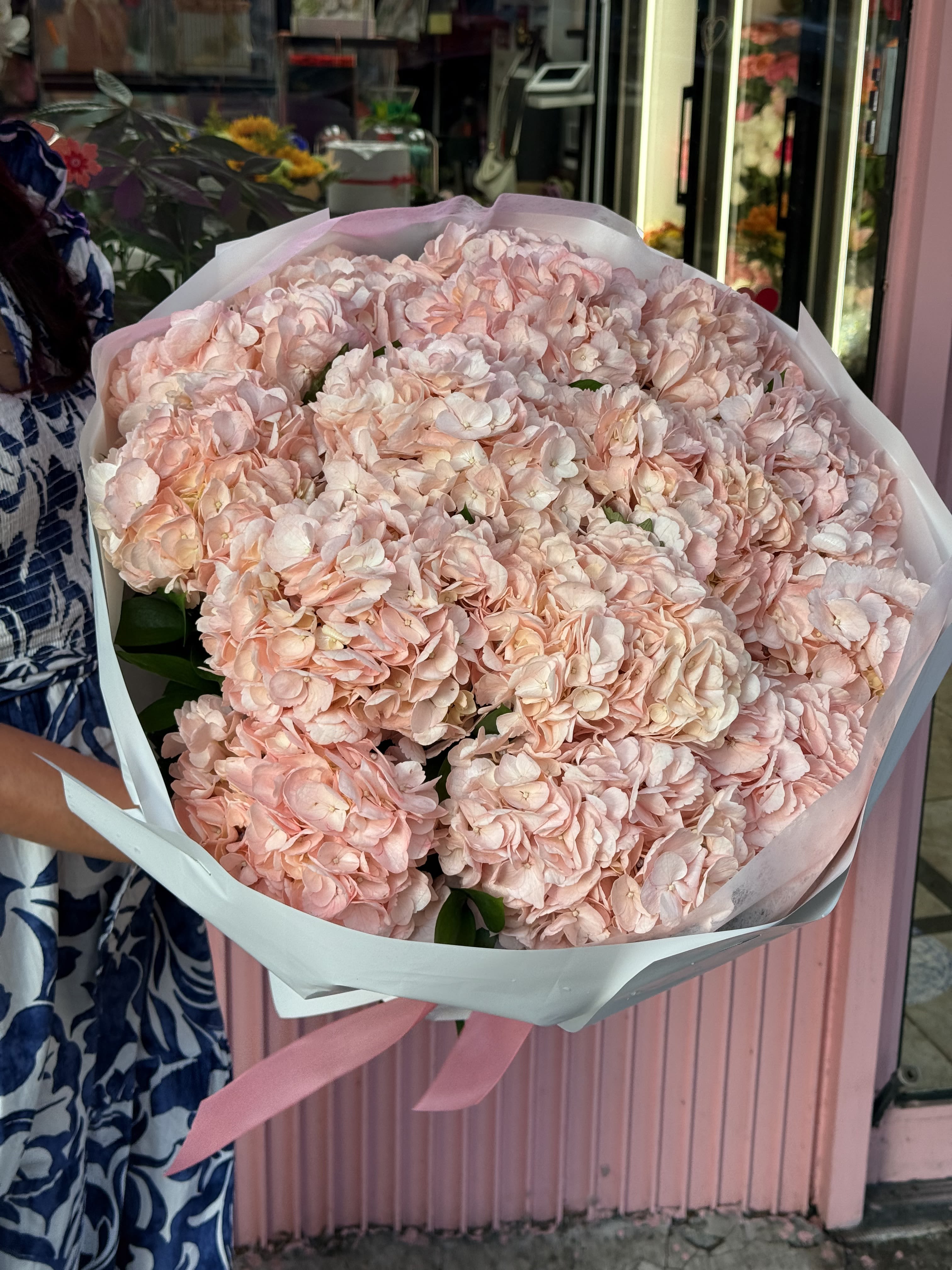 Large bouquet of pale pink hydrangeas wrapped in white paper with a pink ribbon