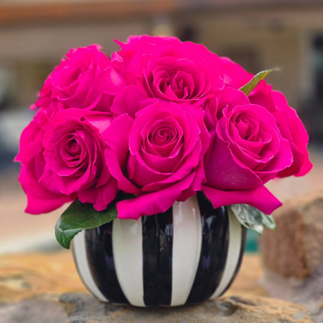 Hot pink roses arranged in a striped black-and-white vase