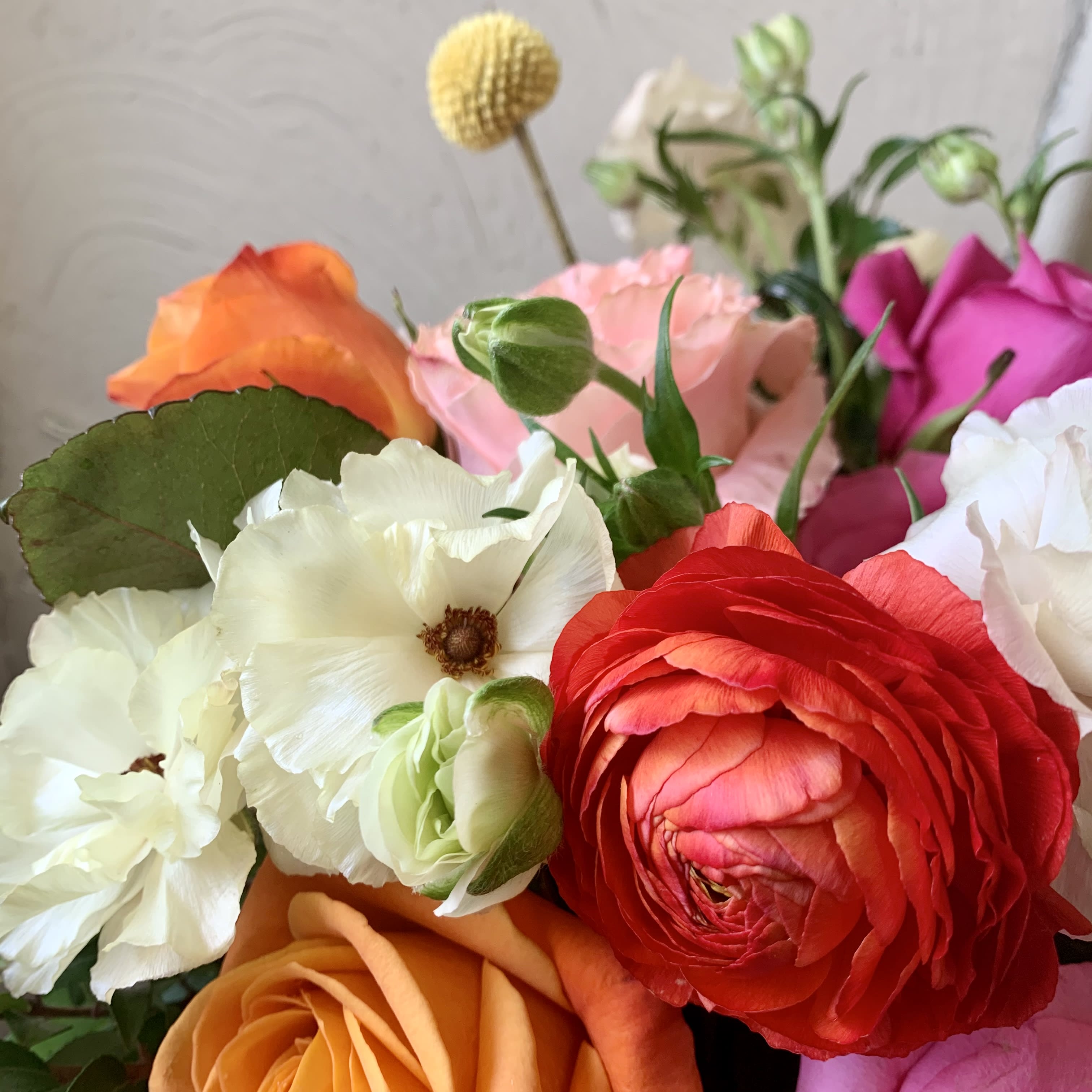 Mixed bouquet of roses and white ranunculus in bright colors