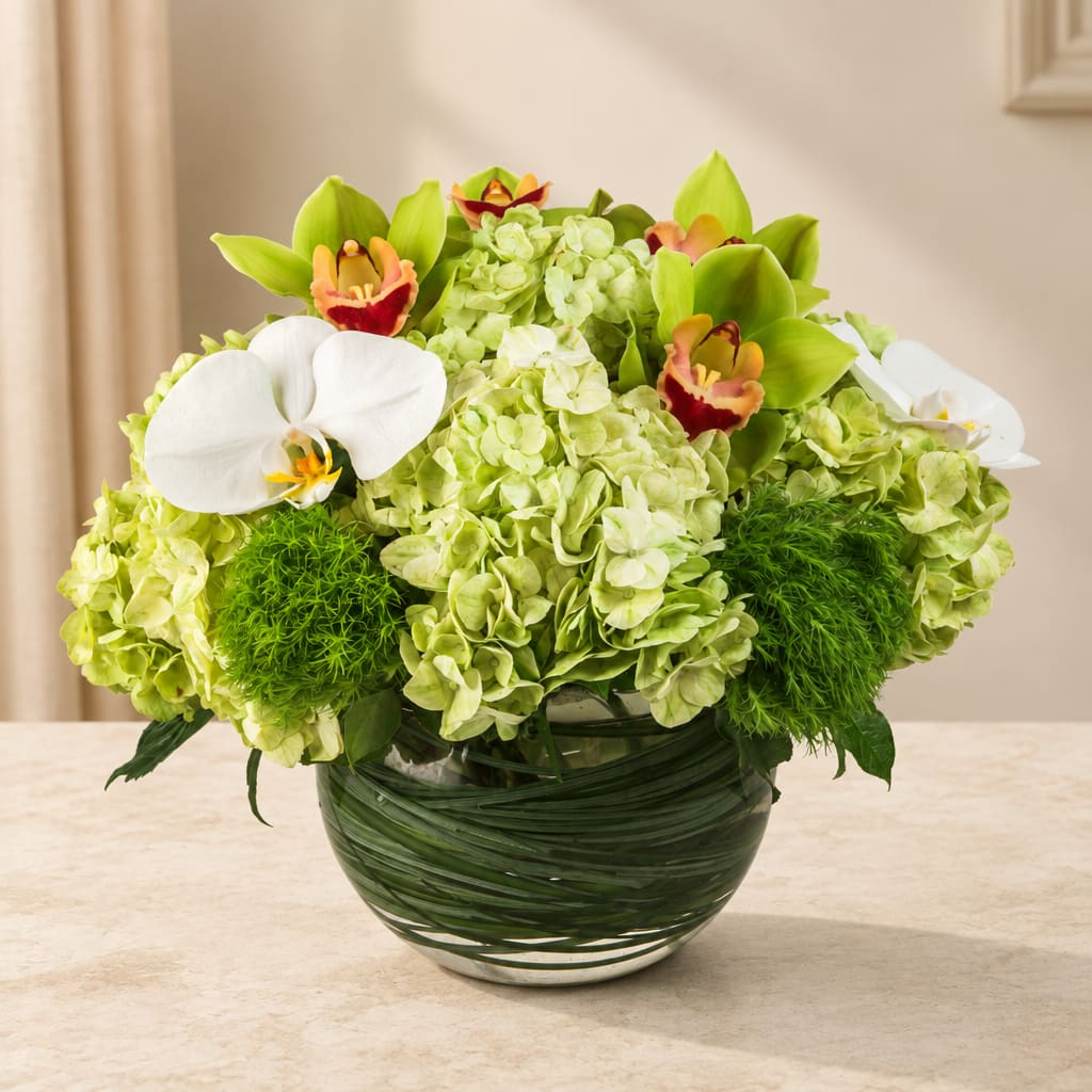 Green hydrangea and orchid arrangement in a glass vase