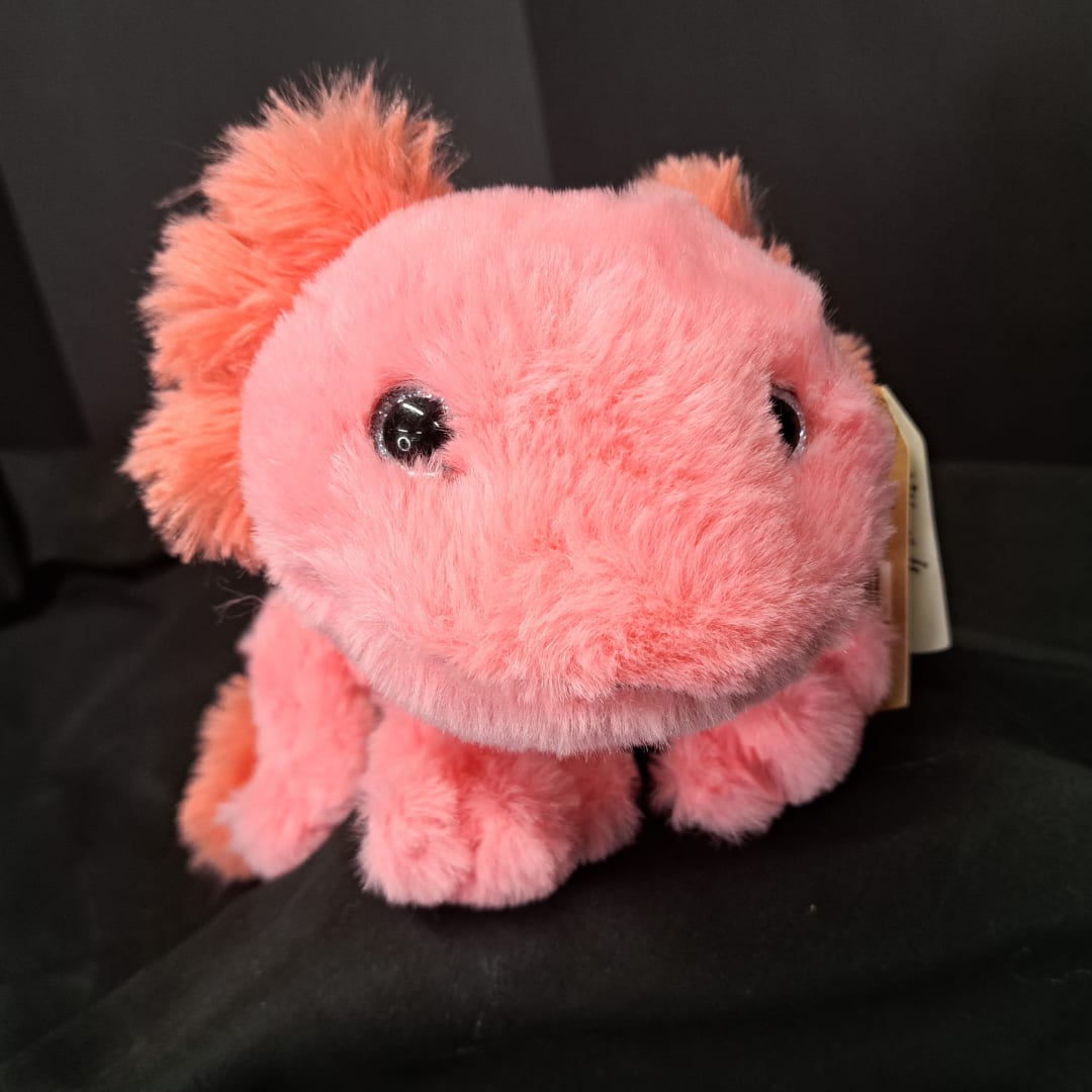 Pink plush dinosaur toy with black eyes on a dark background
