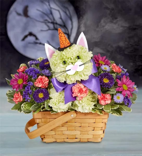 192440 Purrfect potion fabulous feline - EXCLUSIVE Our Fabulous Feline knows how to brew up Halloween magic. Crafted from fresh green carnations, this kitty comes complete with a witch’s hat to cast her spell on every cat-loving ghoul and goblin. 