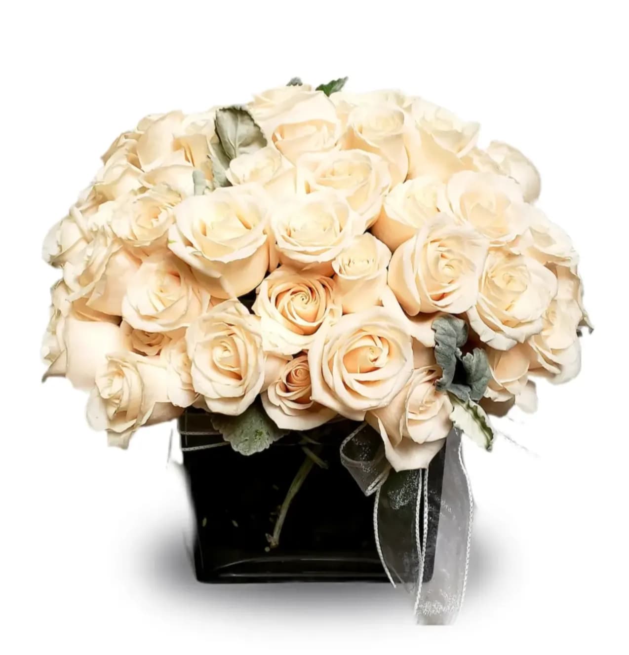 Cream rose bouquet in a black square vase with ribbon