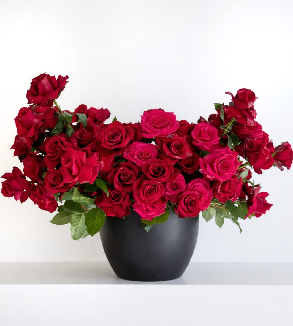 Red roses arranged in a black vase