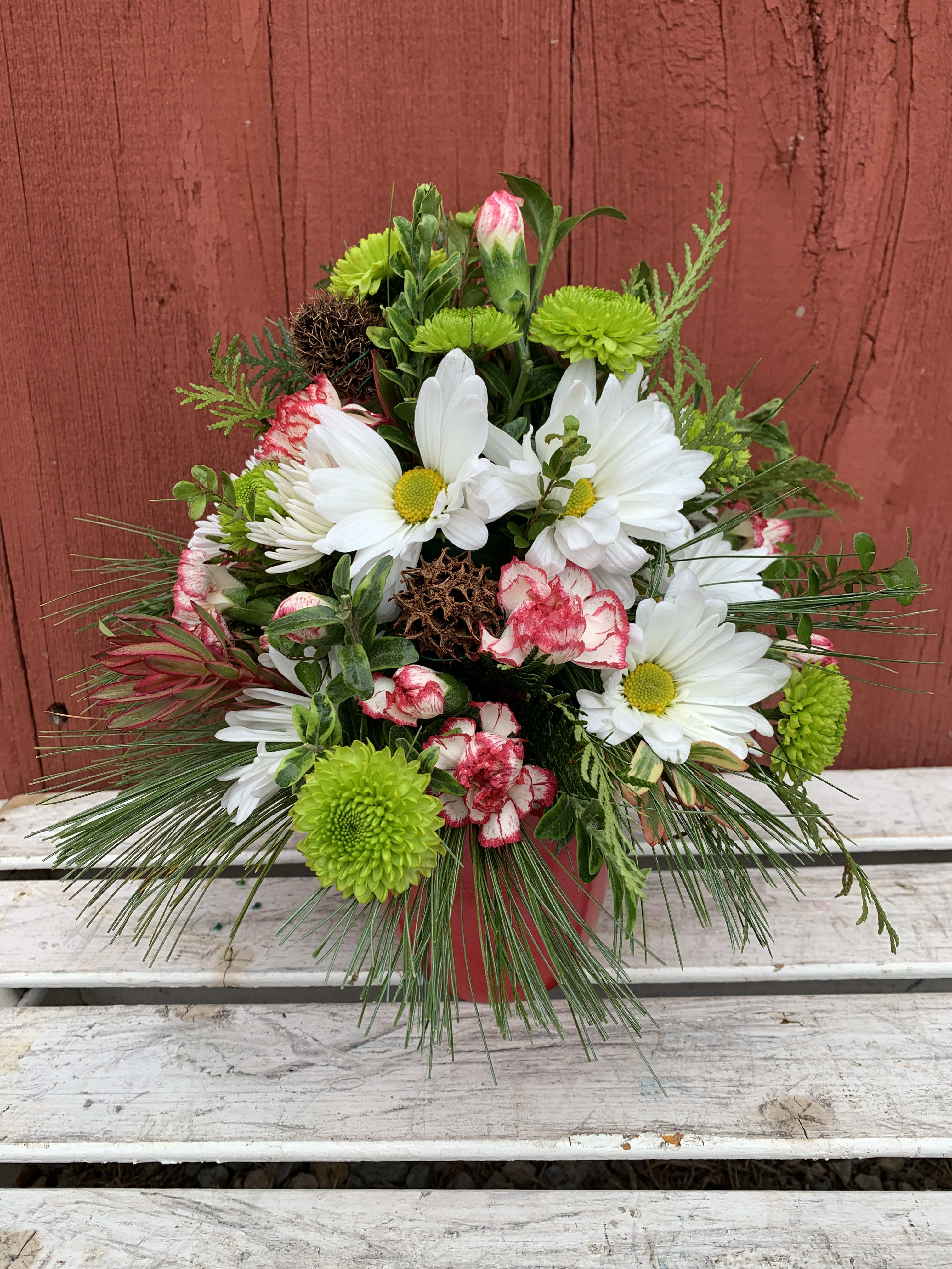 White daisies and green mums with pink-edged carnations in a red pot