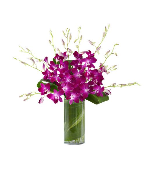 Tall glass vase of purple dendrobium orchids with a green leaf wrap inside