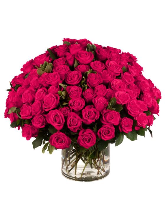 100 Hot Pink Roses - Our classic 100 hot pink roses are designed with long-stem 70 cm roses, rich greens in a clear glass urn. 