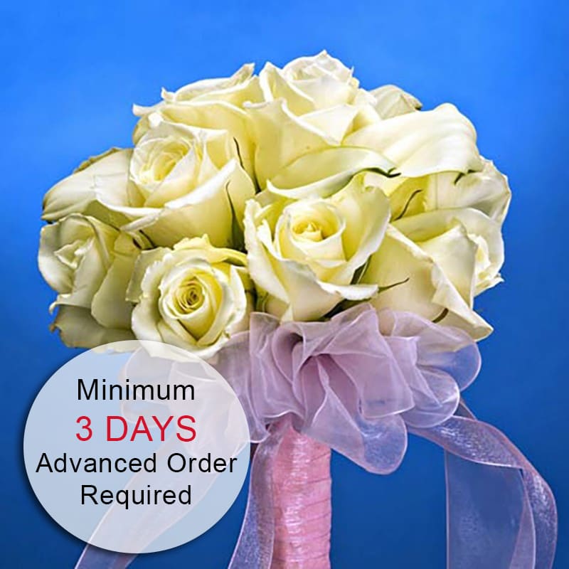 Hand-tied bouquet of pale ivory roses with pink ribbon handle on a blue background