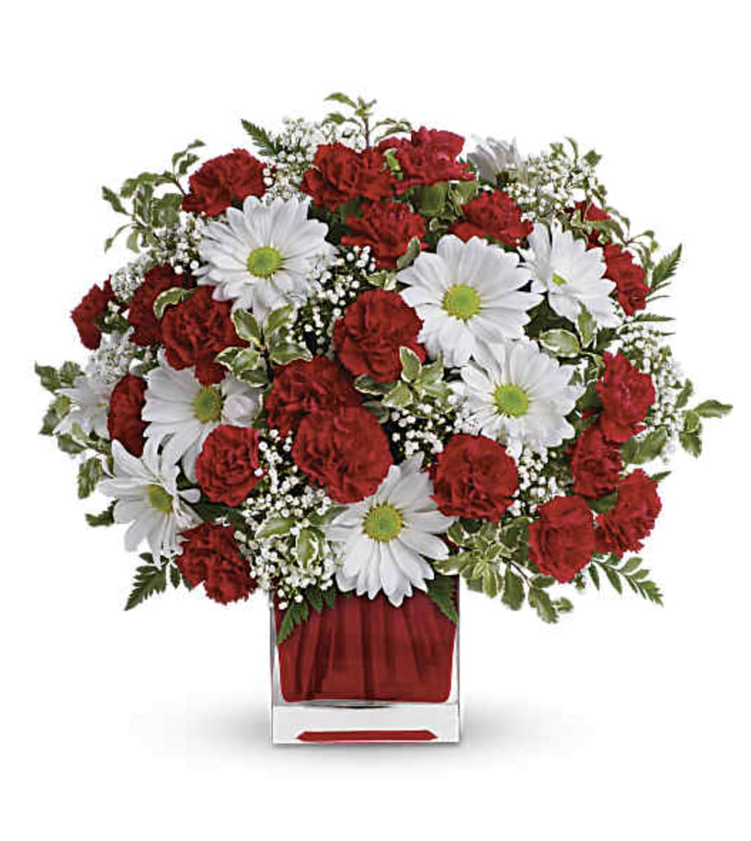Oh My Daisy - This simply sweet bouquet is delicately arranged in our ruby red glass cube. It's a gift that she will always remember! Includes miniature red carnations and white daisy chrysanthemums, accented with fresh greenery. Delivered in Red glass Cube. Orientation: All-Around