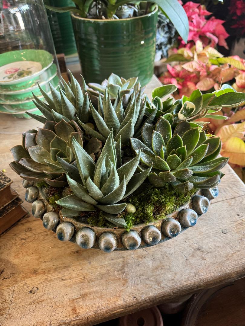 The Desert Jewel - The Desert Jewel arrangement is the perfect table centerpiece for adding a touch of natural beauty to any space. This succulent arrangement features a variety of different succulent breeds, beautifully decorated with river rocks and green moss. It’s an ideal gift for birthdays, holidays, or for a special hostess or indoor garden lover.  Please note: Plants and container may vary depending on availability, ensuring each arrangement is fresh and unique.  Care Instructions: To ensure your succulents stay healthy and vibrant, water them moderately once a month using a spray bottle. Be careful not to overwater—succulents thrive best when the soil is kept on the drier side. Place them in a bright light spot (no direct sunlight), and they'll continue to add beauty to your space for months to come.