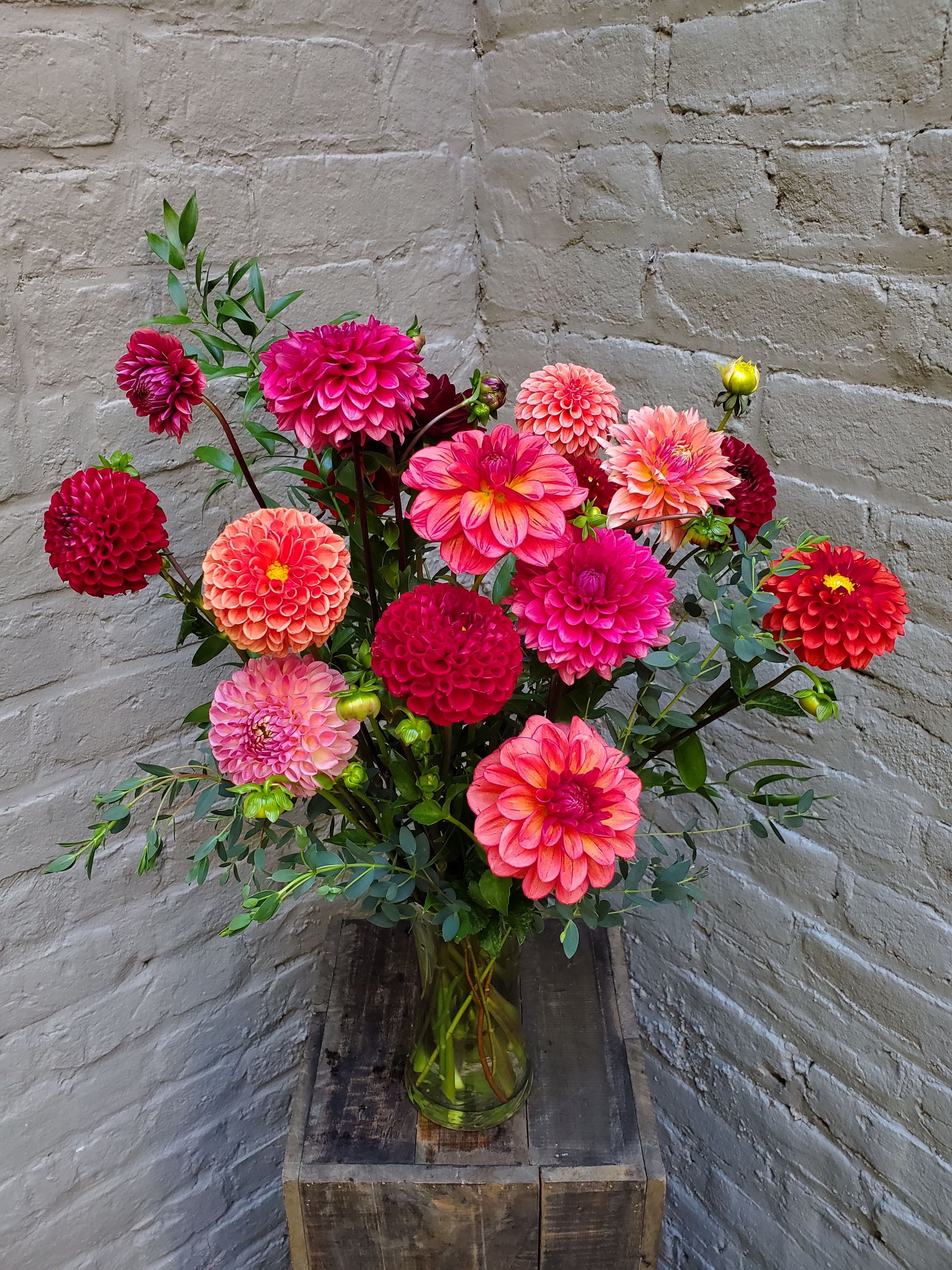 Bouquet of bright pink and coral dahlias in a glass vase