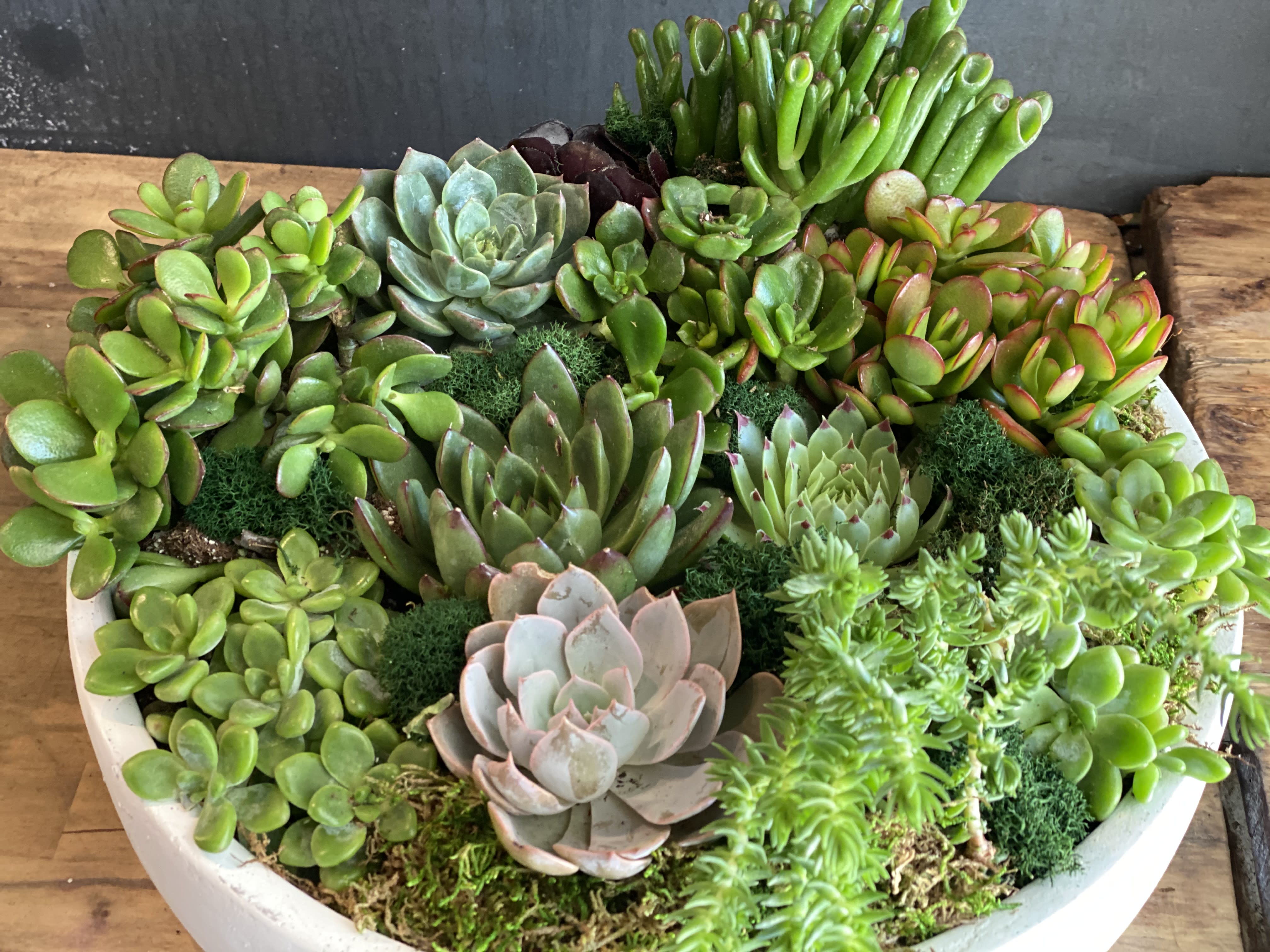 A shallow bowl filled with assorted succulents in green and pink tones