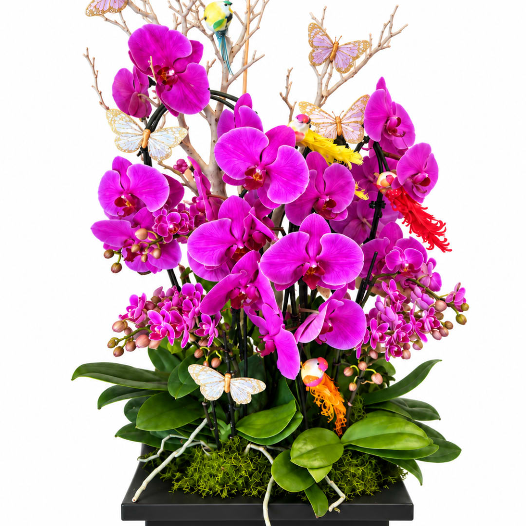Magenta orchids arranged with butterfly decorations in a black planter