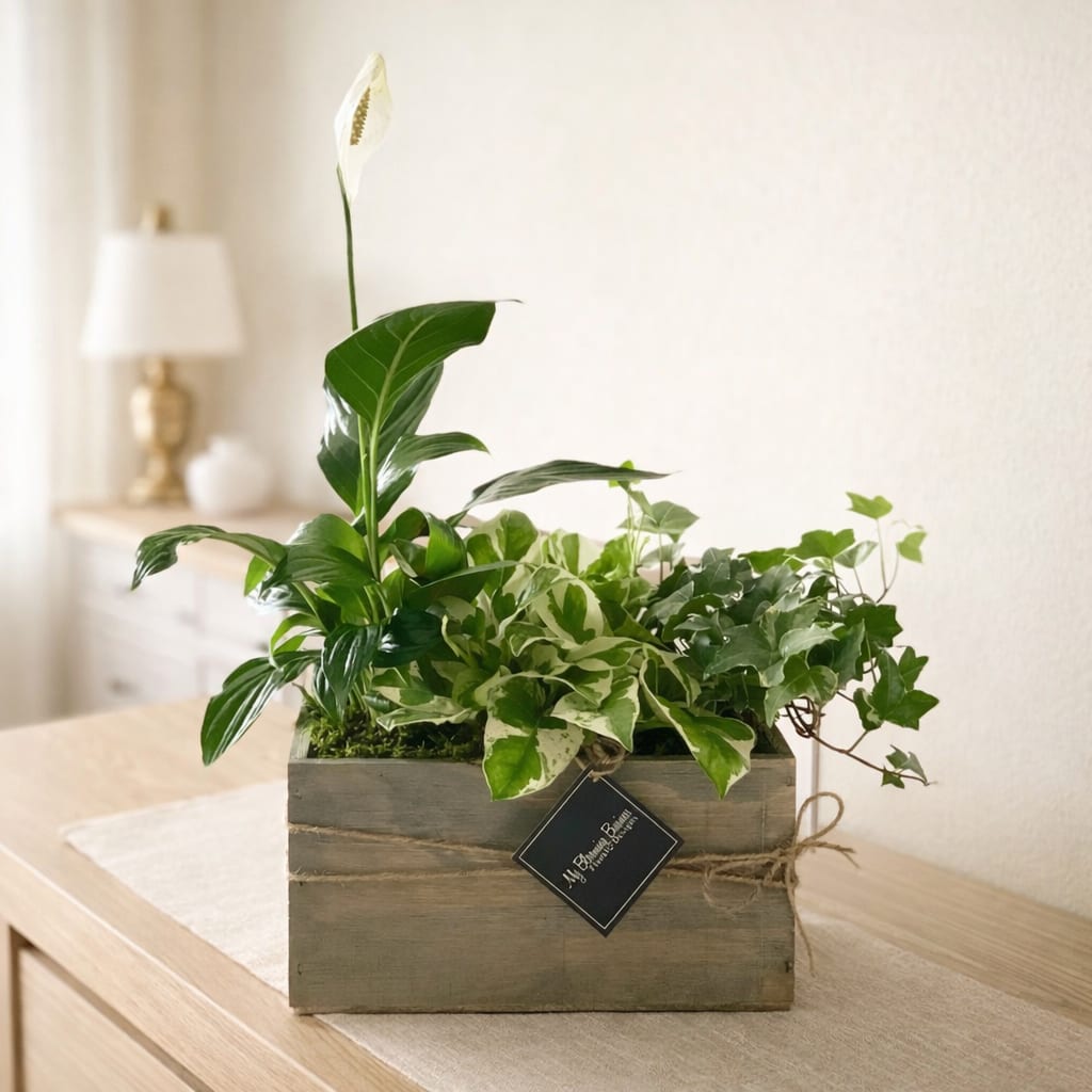 Potted green houseplants in a wooden box with a white peace lily bloom