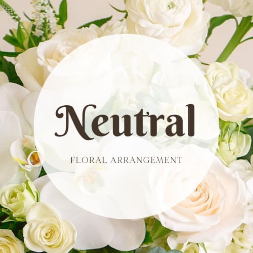 White floral arrangement with roses and orchids