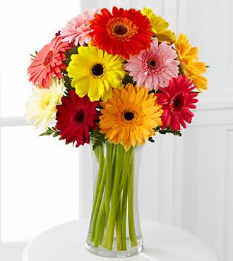 Colorful gerbera daisy bouquet in a clear glass vase