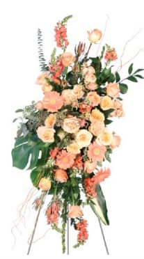 Peach Compassion Standing Spray - Peach and coral roses take center stage in this tall sympathy arrangement, a Peach Compassion standing spray designed for memorials or a prominent celebration display. The vertical, layered design reads ceremonial without feeling cold - the person you're honoring will be met with a soft, uplifting palette of peach, orange, pink and green that says warmth and gentle remembrance.  Roses, gerbera daisies, carnations and snapdragon-like spikes are arranged with broad dark foliage and decorative branches for contrast, giving the spray a full yet airy silhouette with graceful cascading elements. Mounted on a floral easel, the piece has a structured, formal presence ideal for funeral services, commemorations, or any occasion that calls for a significant visual tribute.  This is the kind of arrangement that helps mourners and guests feel seen and comforted; it announces care while keeping the mood tender. The standing spray arrives ready to display on its included easel - no fussing required - and its size and vertical shape make it suitable for indoor services or as a focal outdoor tribute.