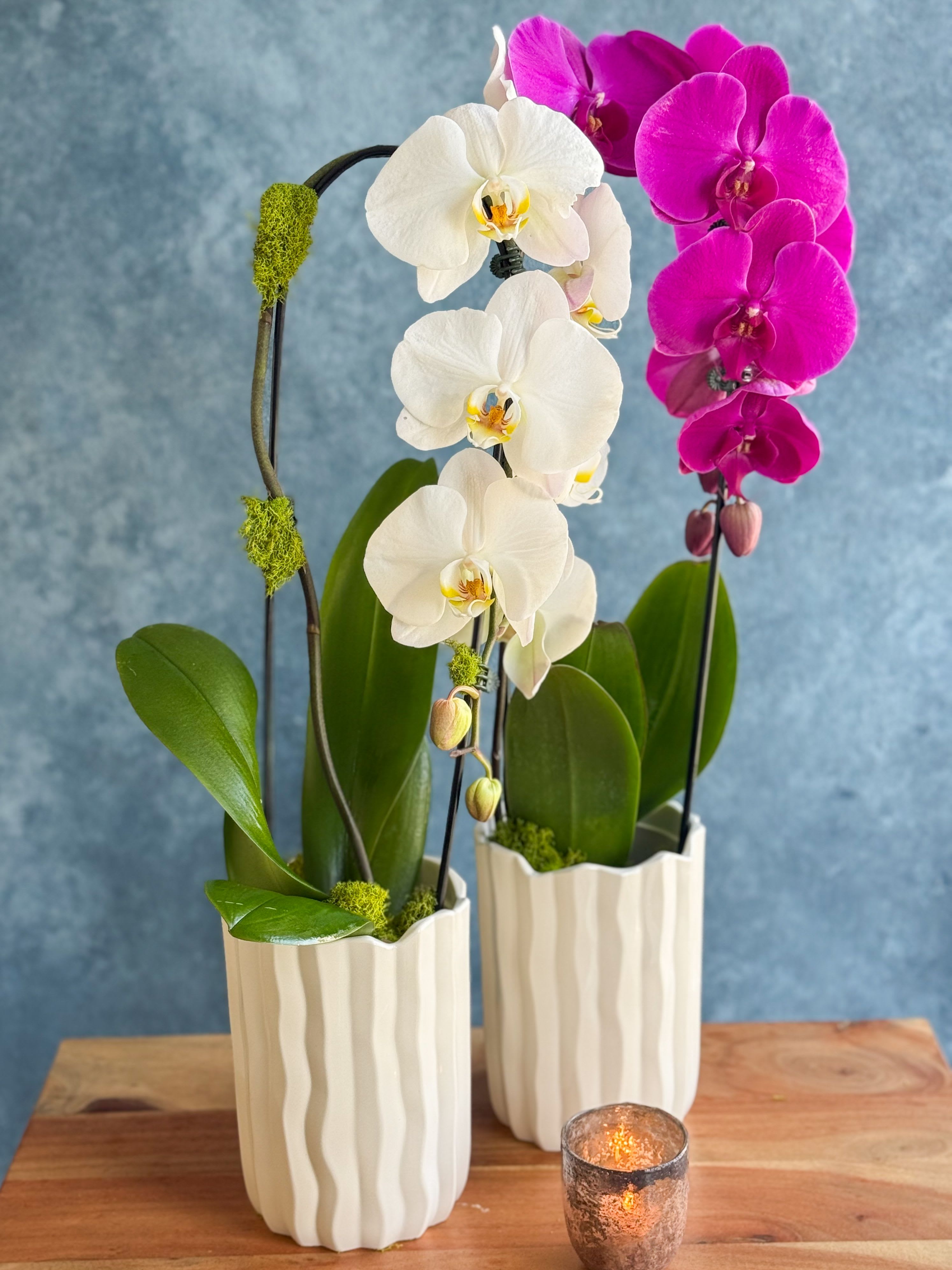 Two potted orchid plants in white ceramic pots with a candle in front